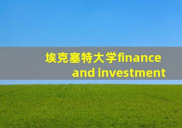 埃克塞特大学finance and investment